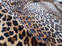 magnifique velours coton léopard.